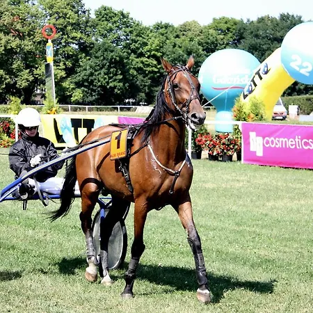 House アパート ソポト