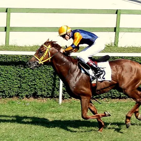 アパート House *